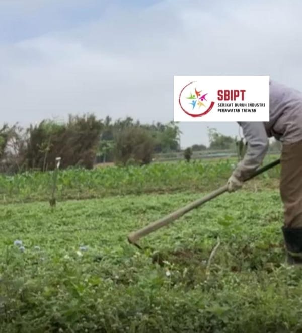 Job-ku Caregiver atau Farmer